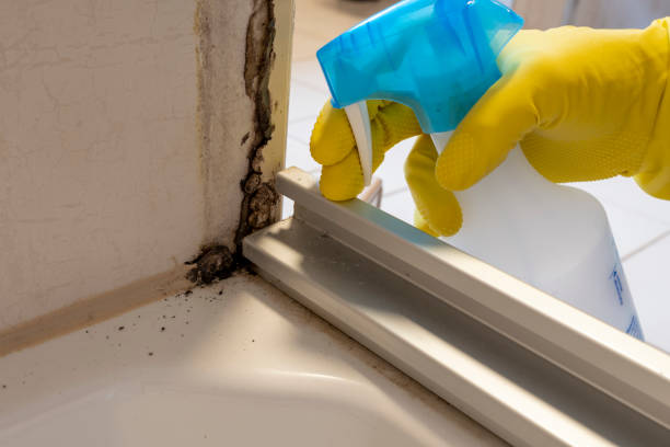 Best Crawl Space Mold Removal  in Williamsport, MD