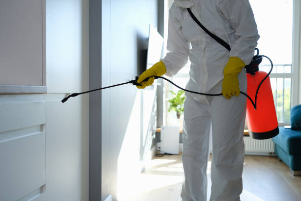 Best Commercial Mold Removal  in Williamsport, MD