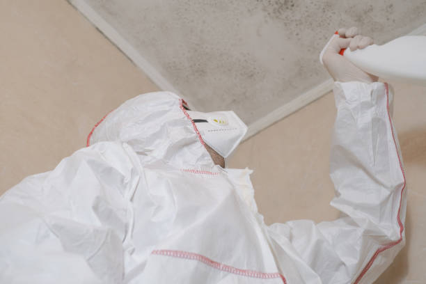 Best Certified Mold Removal  in Williamsport, MD